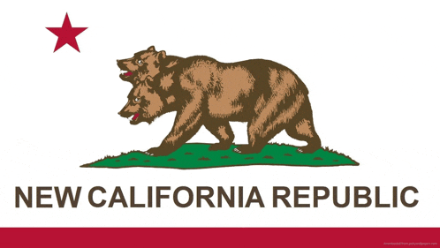 a new california republic flag with a brown bear on it