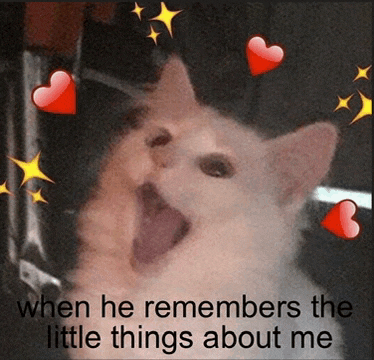 a cat is screaming with hearts and stars around it and the caption says when he remembers the little things about me .