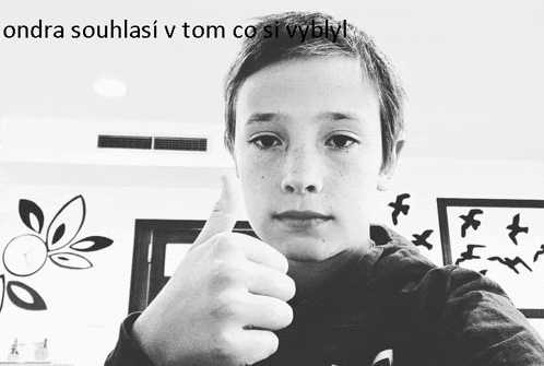 a young boy giving a thumbs up with the words ondra souhlasi v tom co si vybly