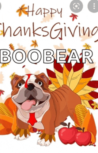 a bulldog dressed as a turkey with the words happy thanksgiving boobear