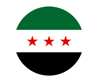 the flag of syria has three red stars on it