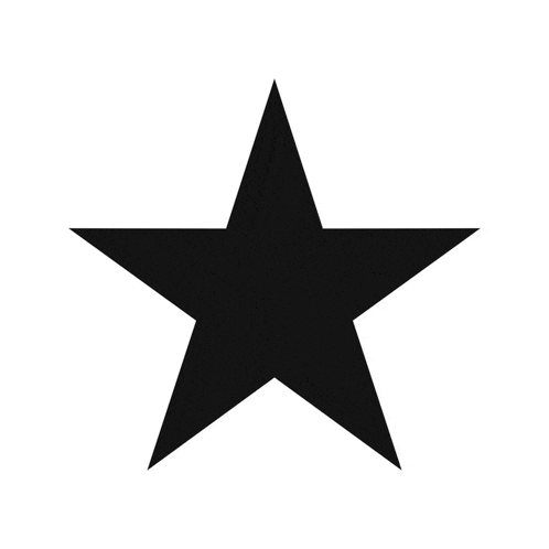 a black star on a white background has a pointed point