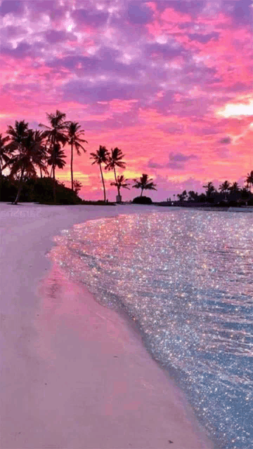 a beach with palm trees and a pink sky