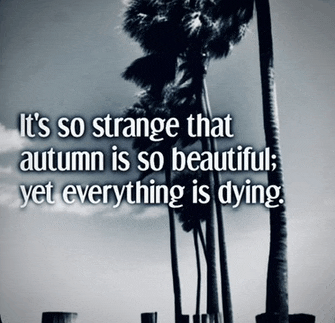 a black and white photo of palm trees with the words " it 's so strange that autumn is so beautiful yet everything is dying " below