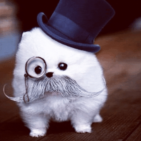 a small white dog wearing a top hat and glasses with a mustache