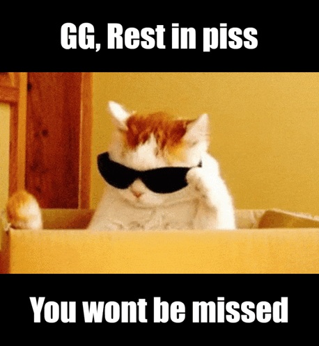 a cat wearing sunglasses is laying in a box with a caption that says gg rest in piss you wont be missed