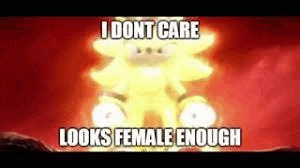 i dont care looks female enough meme