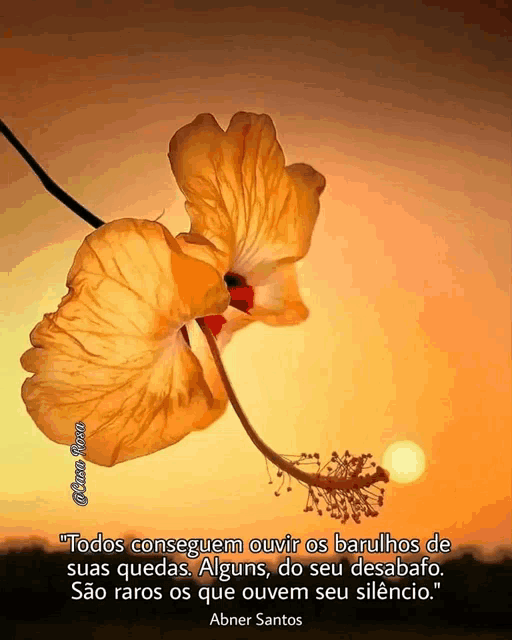 a picture of a flower with a quote by abner santos on it