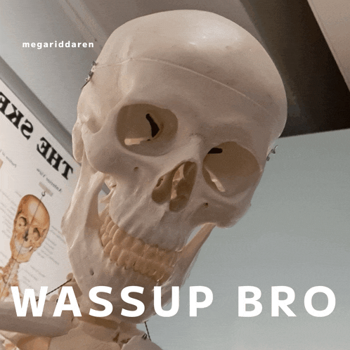 a picture of a skeleton with the words wassup bro on the bottom