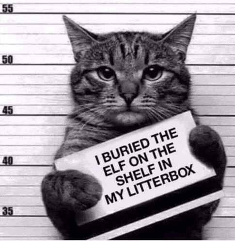 a cat is holding a sign that reads `` i buried the elf on the shelf in my litterbox '' .