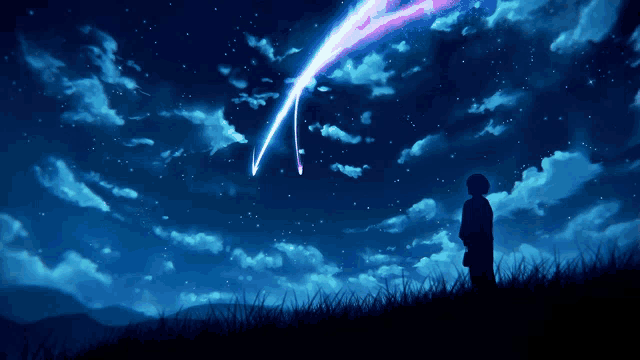 a person standing in a field watching a shooting star in the night sky