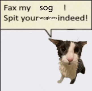 a cat is standing next to a speech bubble that says `` fax my sog spit your sogginess indeed ! ``