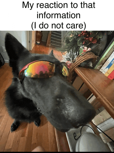 a black dog wearing sunglasses with the caption my reaction to that information i do not care