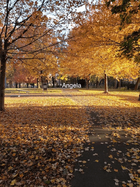 angela is written on the side of a park