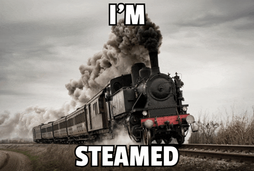 a train with steam coming out of it and the words " i 'm steamed " below it