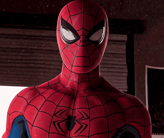 a close up of a spiderman costume with a spider on his chest