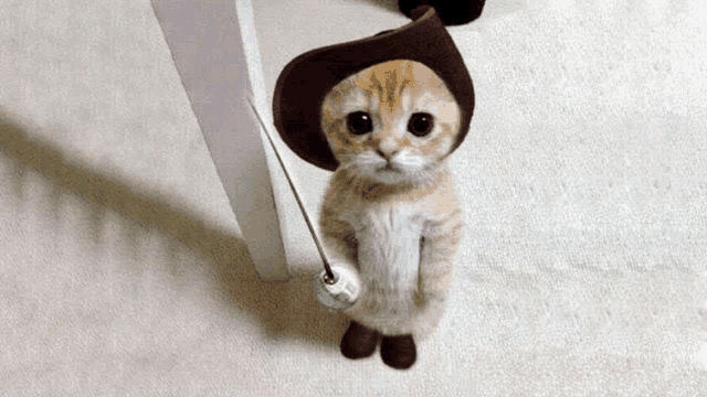 a kitten wearing a cowboy hat and boots holds a sword