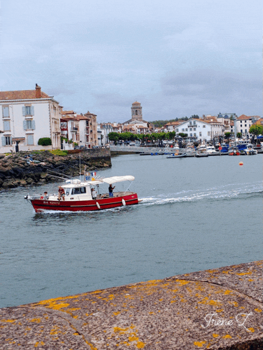 a red and white boat with a white canopy is floating in the water