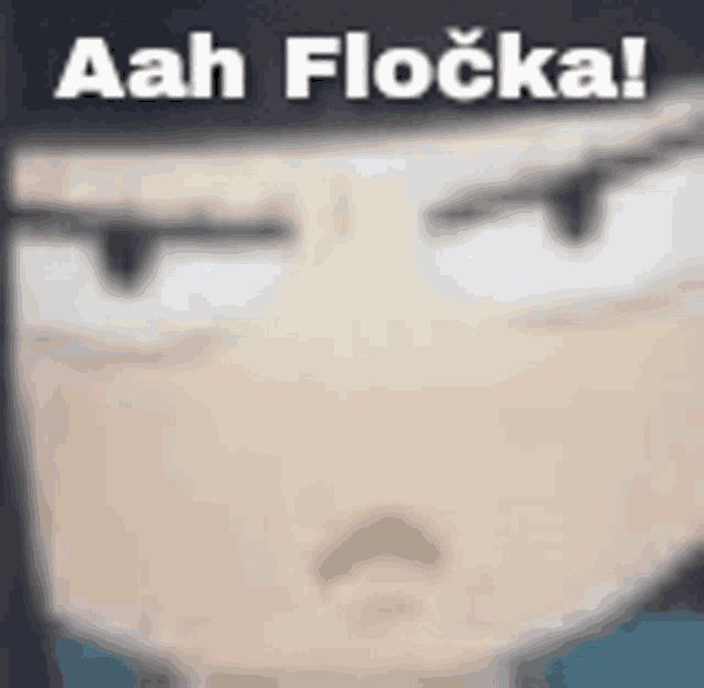 a close up of a person 's face with the words `` aah flocka ! ''