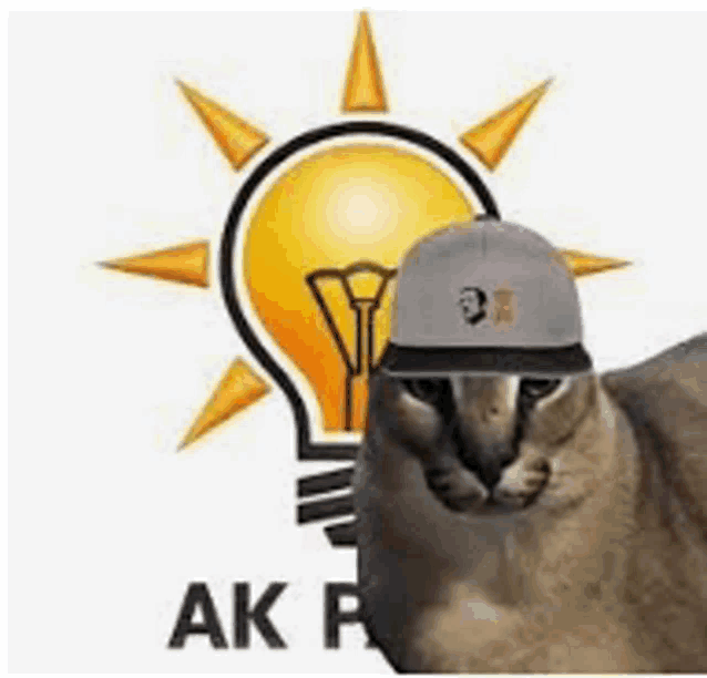 a cat wearing a hat and a light bulb in the background .