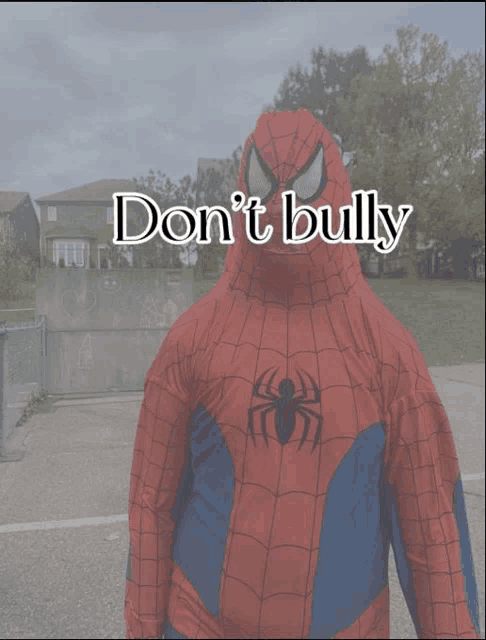 a man in a spiderman costume with the words " do n't bully " above him