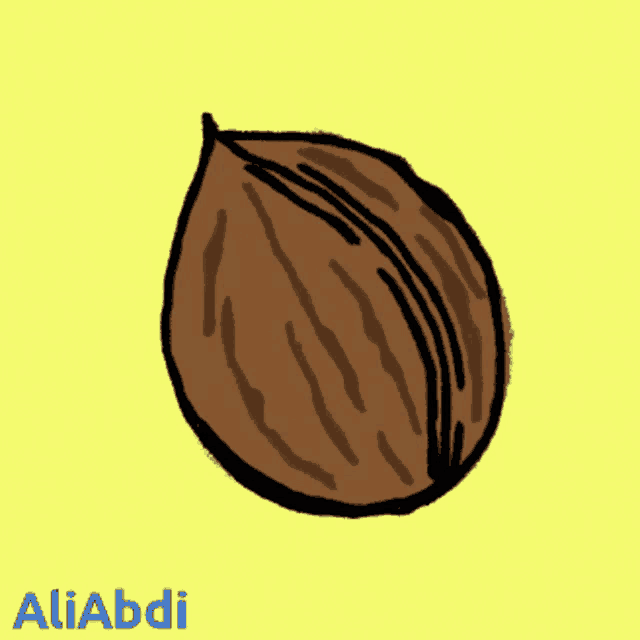 a cartoon drawing of a walnut with the name aliabdi on the bottom