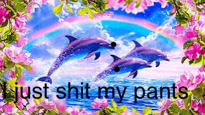 three dolphins are swimming in the ocean with a rainbow in the background and flowers .