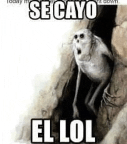 a cartoon of a monkey with a surprised look on its face and the words `` se cayo el lol '' .