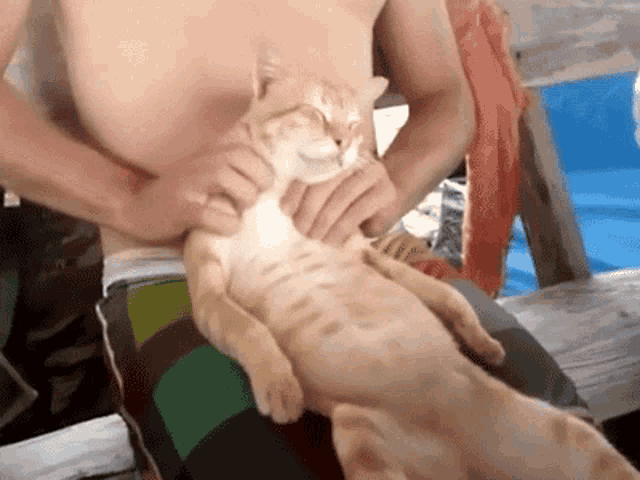 a man without a shirt is petting a cat on his lap