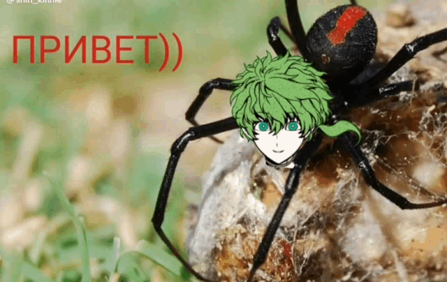 a black widow spider with a green haired anime character on its back