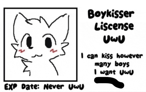 a drawing of a cat with the words boykisser license uwu on it