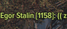 the name egor stalin is on a green background