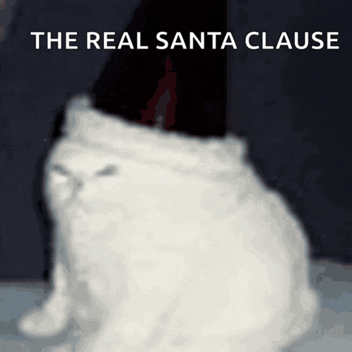 a picture of a cat with the words " the real santa clause " on the bottom