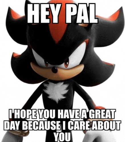 a shadow the hedgehog meme that says hey pal