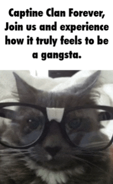 a cat wearing glasses and horns with caption " captine clan forever join us and experience how it truly feels to be a gangsta