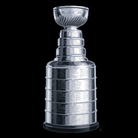 a silver trophy with a black background and a cup on top