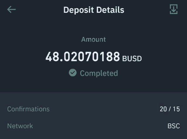 a screenshot of a deposit details page shows the amount of 48.0207018 busd