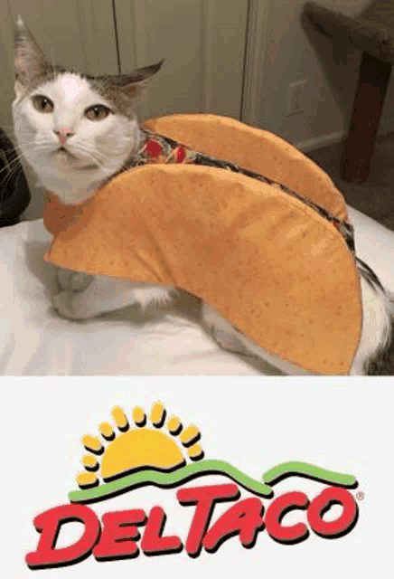 a cat is wearing a taco costume on a bed next to the deltaco logo .