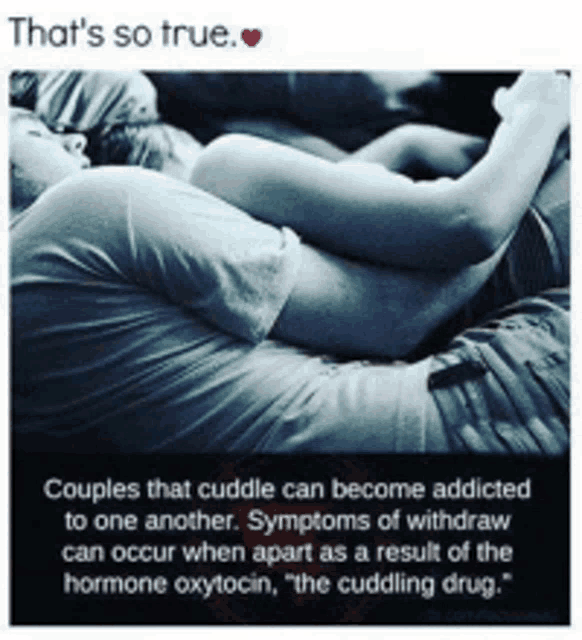 couples that cuddle can become addicted to one another .