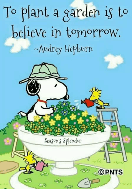 snoopy and woodstock watering flowers with a quote from audrey hepburn