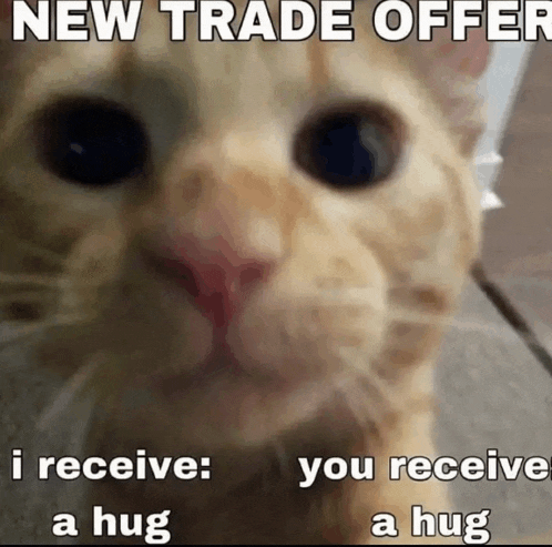 a close up of a cat with the words new trade offer i receive you receive a hug written on it