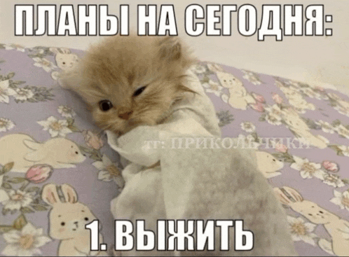 a kitten is laying on a blanket with a caption in a foreign language