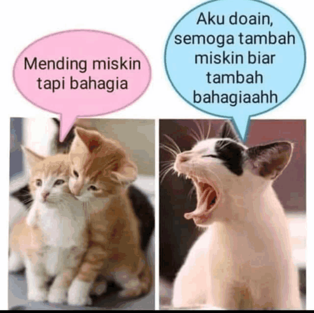 two cats are sitting next to each other with a speech bubble saying " aku doain "