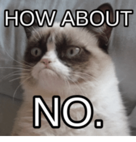 a grumpy cat with the words " how about no " written below it