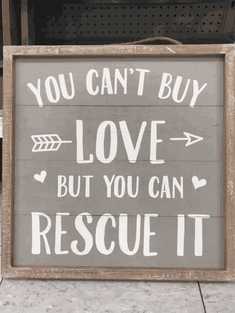 a sign that says you cant buy love but you can rescue it