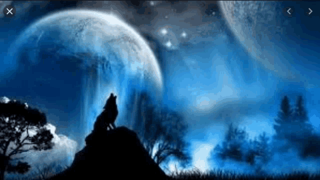 a wolf is howling at the moon while standing on top of a mountain .