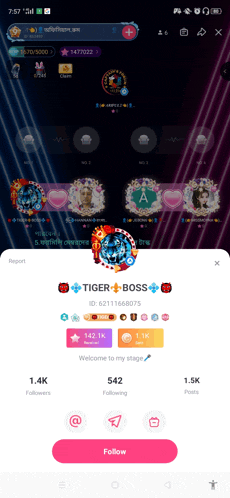 a screenshot of a tiger and boss app