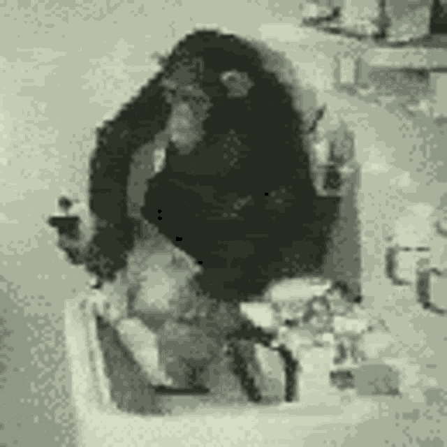 a black and white photo of a chimpanzee taking a selfie in a bathroom sink .