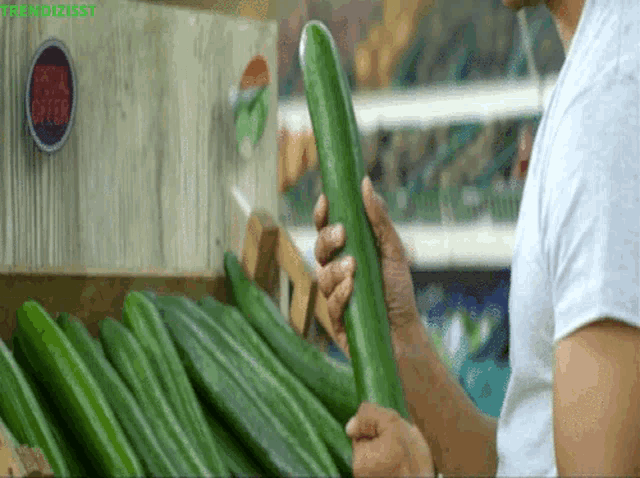 a man is holding a long green cucumber in front of a box of cucumbers with the word franchisesst on it