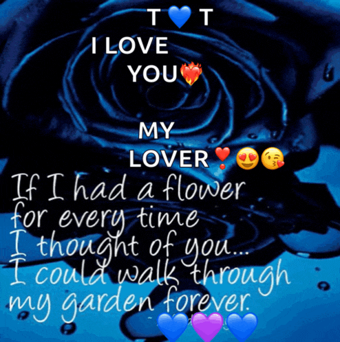 a blue rose with the words i love you my lover on it